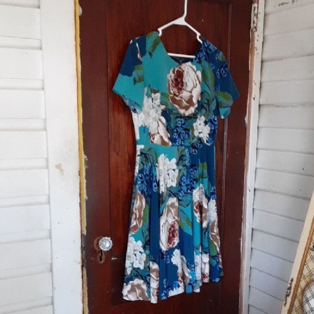 Anthropologie CoreylynnCalterA Line Floral Dress in Blue and Green Sz 10